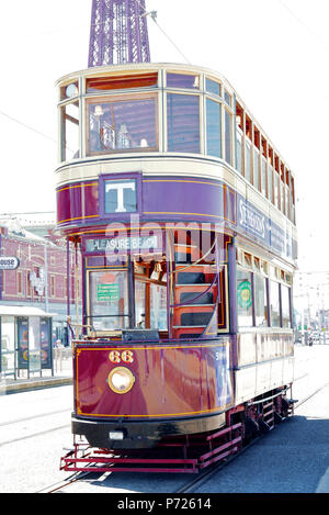 Bolton Corporation Tram 66 1901 als Teil von Blackpool Erbe Tram Touren entlang der Promenade in Blackpool laufen gebaut Stockfoto