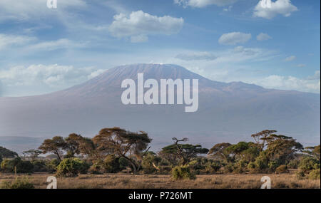 Mount Kilimanjaro, Weltkulturerbe der UNESCO, von Amboseli National Park, Kenia, Ostafrika, Afrika Stockfoto