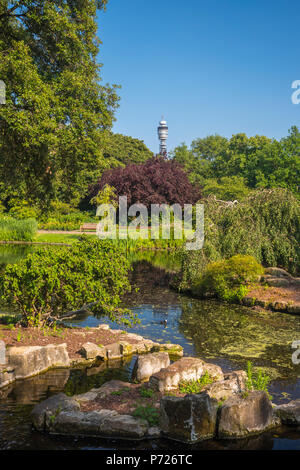 Regent's Park, BT Tower in der Entfernung, London, England, Vereinigtes Königreich, Europa Stockfoto