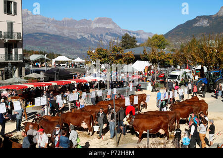 Die landwirtschaftliche Messe (Comice Agricole) von Saint-Gervais-les-Bains, Haute-Savoie, Frankreich, Europa Stockfoto