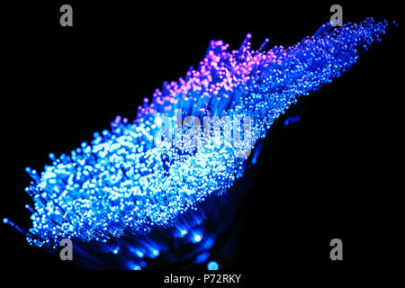 Leuchtende blaue und lila Fiber Optics auf dunklem Hintergrund Stockfoto