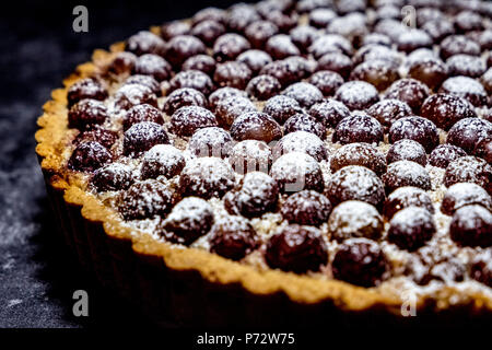 In der Nähe von frisch gebackenen Traube Tart bestäubt mit Puderzucker Stockfoto