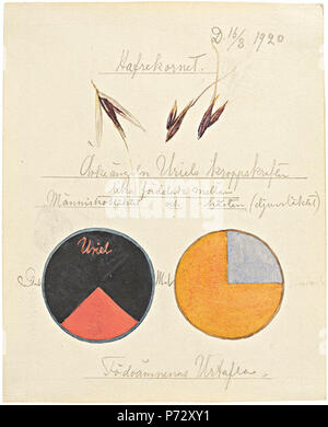Hilma af Klint: Hafer, ein Werk in Getreide, 1920 Aquarell und Graphit auf Papier, 15,2 x 12 cm. 19 Hilma af Klint - 1920 - Hafer, eine Arbeit über Getreide Stockfoto