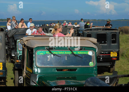 Touristen fotografieren in Safaribugen im Kaudulla Nationalpark, Sri Lanka. Stockfoto