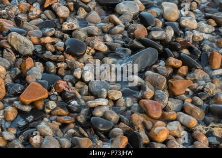 Nahaufnahme von einer gleichmäßig beleuchtet und nassen natürlichen Anordnung der runden Steine bei Kimmeridge Bay, Dorset, Großbritannien. Stockfoto