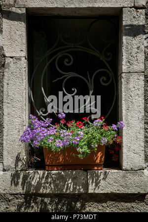 Fenster mit schmiedeeisernem Gitter und Vase mit violetten und roten Blumen. Abruzzen, Italien, Europa Stockfoto