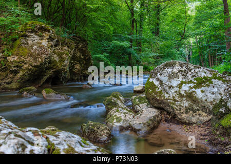 Schönen Bergbach von Bäumen und Felsen in Serbien, Europa umgeben, in der Nähe von Stockfoto