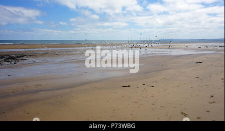Strand von Seaton Carew Hartlepool, England an einem Sommertag Tide, Rammstein Fütterung Am Wasser Offshore Windenergieanlagen Stockfoto