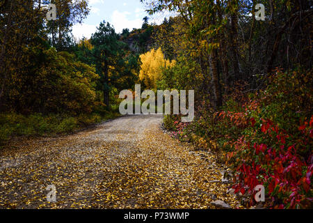 Country Road in ländlichen Colorado angezeigte Schöne Herbstfarben Stockfoto