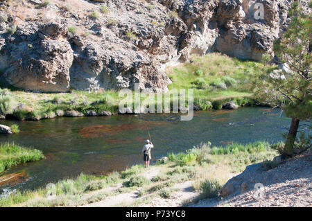 Schöne kleine Hot Creek östlich von Mammoth Lakes Renditen viele Regenbogen- und Bachforelle. Fliegen fischer Spaziergang in die Schlucht und warf die Pools. Stockfoto