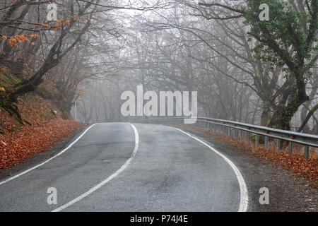 Foggy mountain road, Kakheti region, Georgia Stockfoto