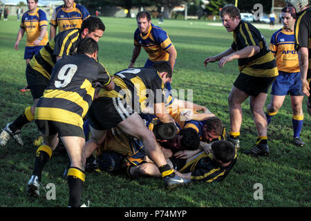 Spiel von Rugby Union, Kapiti Paraparaumu, Neuseeland Stockfoto