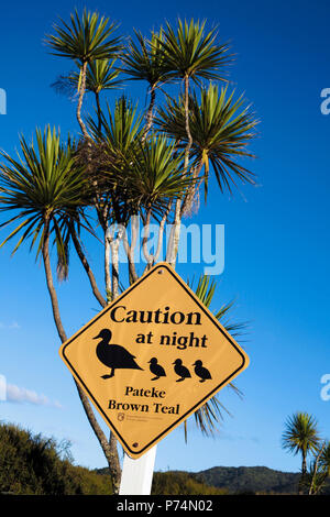 Straßenschild zur Pflege von Braunballen (Anas chlorotis) auf Great Barrier Island, Neuseeland Stockfoto