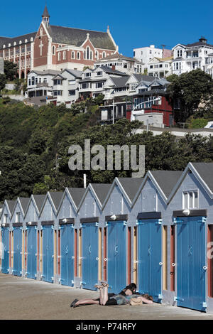 Historische boot Schuppen an der Oriental Bay, Wellington, Neuseeland Stockfoto