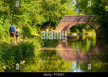 Zwei Wanderer und Ihren Hund zu Fuß den leinpfad unter einer Brücke neben dem Grand Union Canal in der Nähe von Crick, England im Sommer Stockfoto