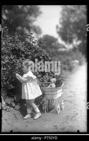 67 Narcyz Witczak-Witaczy ński-Rodzina mjr. Zaremby (107-551-2) Stockfoto