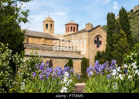 Die Abbaye de Fontfroide, eine ehemalige Zisterzienser Kloster und Abtei in Südfrankreich, mit einem notunterstände von Iris germanica (bearded Iris) Stockfoto