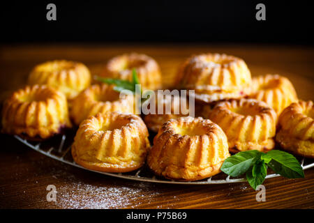 Süße Muffins Quark in Zucker Pulver auf den Tisch Stockfoto