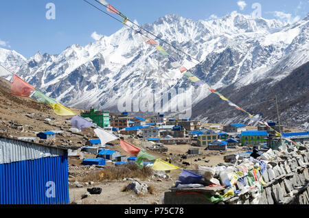 Dorf kyanjin Gompa, Langtang, Nepal Stockfoto