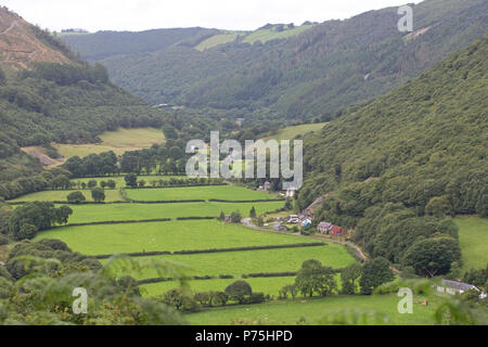 Das Tal von Rheidol Valley Wales Ceredigion Stockfoto