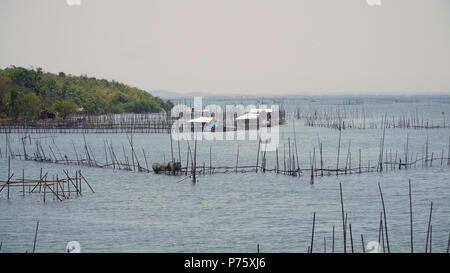 Fischzucht mit Käfigen für Fische und Garnelen in den Philippinen, Luzon. Fischteiche für bangus, milchfisch. Fisch Käfig für Tilapia, milchfisch Landwirtschaft Aquakultur oder Fischzucht Praktiken. Stockfoto