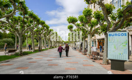 Burgos, Spanien - 13. Juni, 2018: Ältere Paare, Hände auf einem von Bäumen gesäumten Promenade Boulevard im Frühjahr im historischen Zentrum von Burgos, Sp Stockfoto