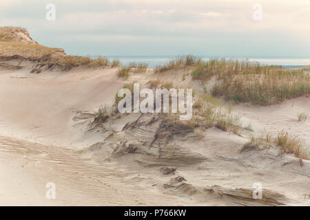 Gelbe Sanddünen mit Pflanzen vor der Kulisse der Ostsee im Herbst Stockfoto