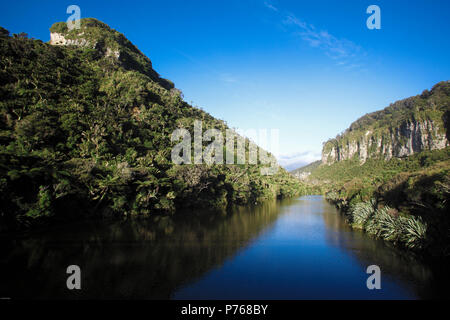Der Pororari River im Paparoa National Park, Punakaiki, Neuseeland Stockfoto