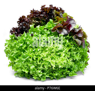 Köstliche, Frische eiche Salat oder Salat mischen. tricolor Salat oder gemischter Salat, auf weißem Hintergrund. Stockfoto