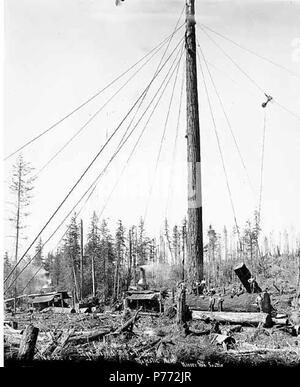 . Englisch: Mannschaft an der Ladestelle mit zwei Esel Motoren und spartree, Camp 6, Puget Sound Mühle und Timber Company, möglicherweise an der majestätischen, Ca. 1922. Englisch: Legende auf Bild: Camp 6, Puget Sound Mill & Holz Co., Majestic, Washington Kinsey Foto, Seattle. Nr. 33 PH-Coll 516.3004 Puget Sound Mill & Holz Firma schnitt seine ersten Bauholz in Port Angeles im Jahre 1914. Protokollierung der Vorgänge wurden am 2. Die Mühle war aus dem Geschäft von 1927. Die Lage von Majestic ist unbekannt; vermutlich war es in Clallam County [cataloger Hinweis]. Themen (LCTGM): Dampf Esel - Washington (State); Logger; Protokolle; Hebezeug Stockfoto