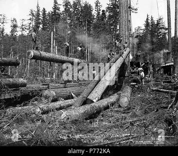 . Englisch: Mannschaft an der Ladestelle, mit zwei Esel Motoren, spartree und Protokolle über Skelett Autos ausgesetzt, Camp 8, Puget Sound Mühle und Timber Company, in der Nähe von Twin, Ca. 1922. Englisch: Legende auf Bild: Puget Sound Mill & Holz Co., Camp 8, Twin River, Washington C. Kinsey Foto, Seattle. Nr. 14 PH-Coll 516.2997 Puget Sound Mill & Holz Firma schnitt seine ersten Bauholz in Port Angeles im Jahre 1914. Protokollierung der Vorgänge wurden am 2. Die Mühle war aus dem Geschäft von 1927. Twin ist eine kleine Siedlung an der Straße von Juan de Fuca, 20 km westlich von Port Angeles an der Mündung des Twin River in North Central C Stockfoto