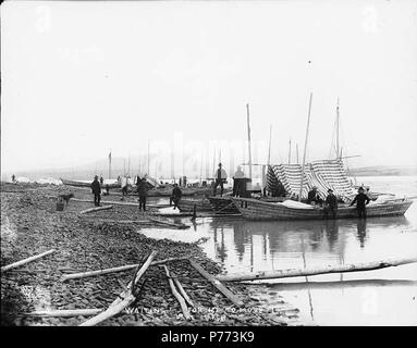 . Englisch: Klondykers mit scows gebunden an die Ufer von Marsh Lake warten auf das Eis zu brechen, Yukon Territory, Ca. 1898. Englisch: Legende auf Bild: "Warten auf Eis zu bewegen. Lake Marsh 'Original Foto von Eric A. Hegg 613 B; kopiert von Webster und Stevens 323. a. Klondike Gold Rush. Themen (LCTGM): Seen und Teiche - Yukon; Scows - Yukon - Marsh Lake Themen (LCSH): Marsh Lake (Yukon). ca. 1898 7 Klondykers mit scows gebunden an die Ufer von Marsh Lake warten auf das Eis zu brechen, Yukon Territory, ca 1898 HEGG (484) Stockfoto