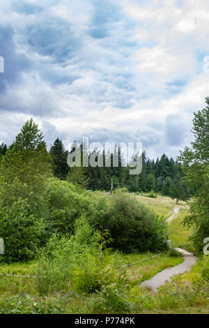Weg durch dichtes grünes Laub Stockfoto