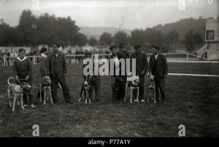 14 Carrera de Galgos en el canódromo de Amara (2 de 3) - Fondo Car-Kutxa Fototeka Stockfoto