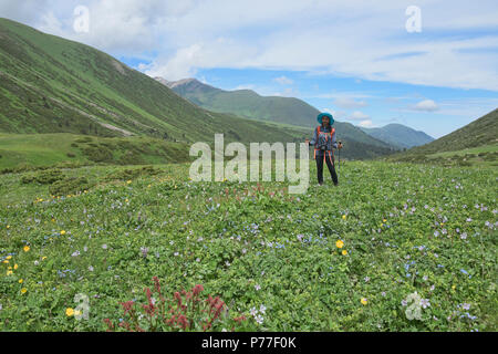 Trekking durch Felder von Wildblumen auf dem alpinen Keskenkija Trek, Jyrgalan, Kirgisistan Stockfoto