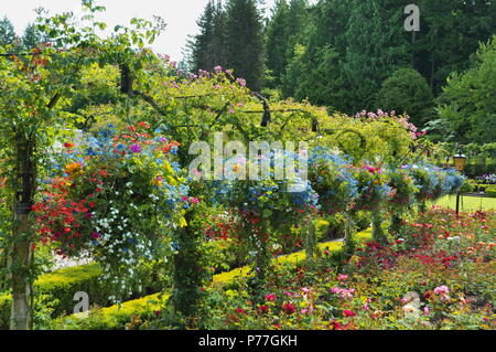 Hängende Körbe an der Butchart Gardens in Victoria BC. Stockfoto