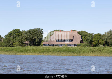 Reetgedeckte Haus In Der Nahe Von Wustrow Fischland Mecklenburg