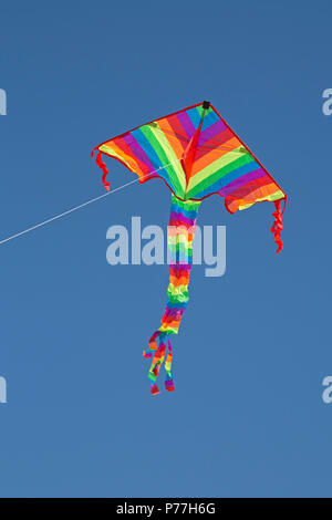 Kite am Strand, Wustrow, Fischland, Mecklenburg-Vorpommern, Deutschland Stockfoto