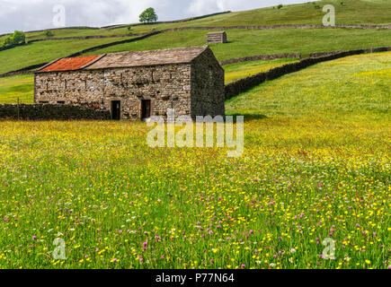 Wilde Blume wiesen am Muker in Swaledale Stockfoto