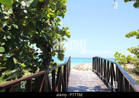 Holz- Straße durch den grünen Dschungel zu den blauen Meer Stockfoto