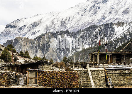 Schichten von schneebedeckten Bergen, Pinien, Steinhaus mit tibetischen Gebetsfahnen und woodpiles in Braga auf die Annapurna Rundweg in Nepal Stockfoto