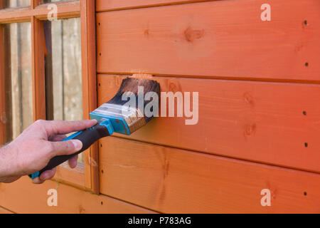 Malerei ein hölzernes Gartenhaus mit wasserdichten Holzschutzmittel es vor den Elementen zu schützen Stockfoto