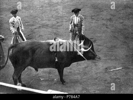 Español: Fotografía muestra que al Matador de Toros español Antonio Fuentes Durante la Lidia en la Plaza de Toros de Santander. Juli 1912 6 Antonio Fuentes toreando Stockfoto