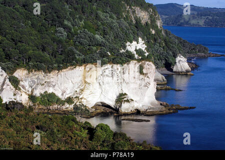 Blick auf die Küstenlinie bei Cathedral Cove auf der Coromandel Halbinsel, Neuseeland Stockfoto