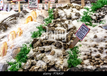 Austern im Verkauf bei Seattle's berühmten Pike Place Markt berühmt für seine Fisch- und Bauernmarkt mit regionalen Produkten, Seattle Stockfoto