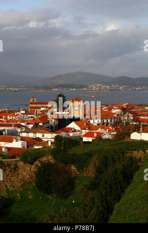 Blick auf die stadt mit Uhrturm in der Mitte, Igreja Matriz nach links, alte Stadtmauer im Vordergrund, Rio Minho im Hintergrund, Caminha, Portugal Stockfoto