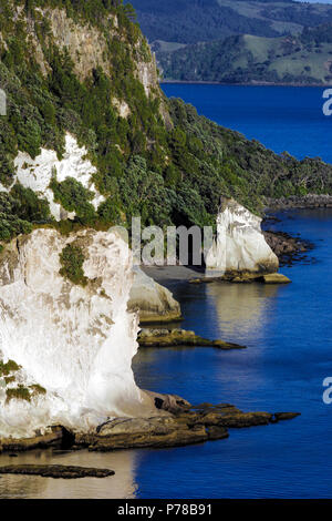 Blick auf die Küstenlinie bei Cathedral Cove auf der Coromandel Halbinsel, Neuseeland Stockfoto