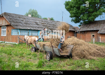 Litynia Dorf, Ukraine - Juni 02, 2018: Zwei junge Jungen Heu werfen aus der Karre, Lagerung von Heu für die Tiere, leben in einem Dorf, Lifestyle Stockfoto