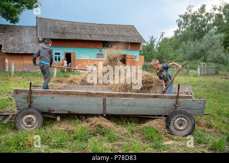 Litynia Dorf, Ukraine - Juni 02, 2018: Zwei junge Jungen Heu werfen aus der Karre, Lagerung von Heu für die Tiere, leben in einem Dorf, Lifestyle Stockfoto