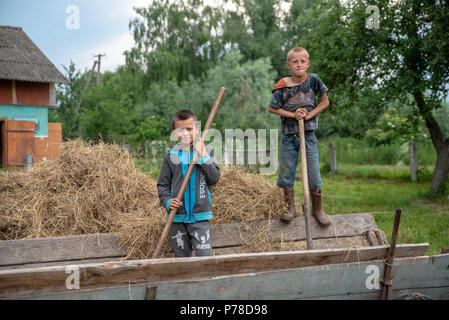 Litynia Dorf, Ukraine - Juni 02, 2018: Zwei Jungen stehen auf den Wagen, auf den Gabelzinken lehnte, Lagerung von Heu für die Tiere, leben in einem Dorf, das Leben Stockfoto